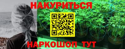 прущие грибы Пушкино