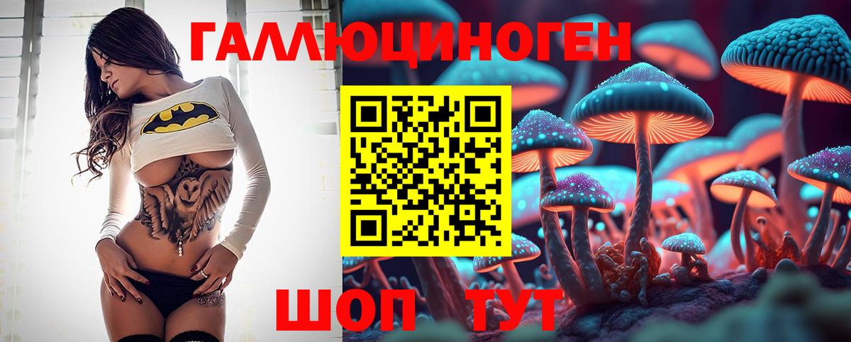 Рязань  Псилоцибиновые грибы MAGIC MUSHROOMS  Вход с VPN 